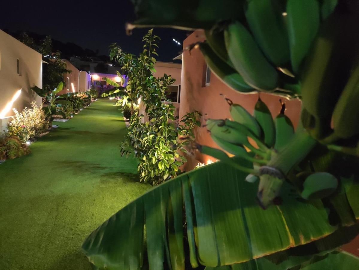 Modular Bungalows With Heated Pool Artemis Greece Εξωτερικό φωτογραφία